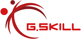 G SKILL