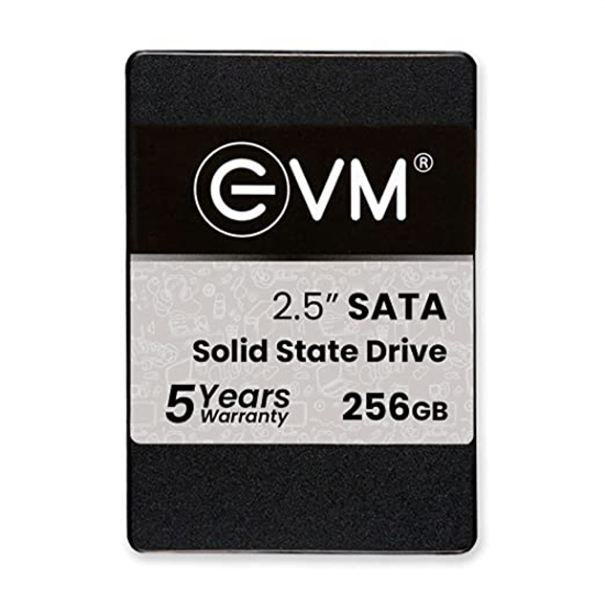 EVM25/256GB 256GB SSD 2.5" INCH SATA